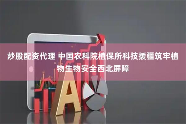 炒股配资代理 中国农科院植保所科技援疆筑牢植物生物安全西北屏障